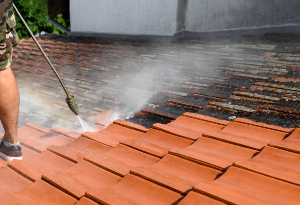 Fence Pressure Washing in Lady Lake, FL