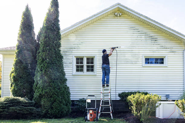 Best Garage Pressure Washing  in Lady Lake, FL