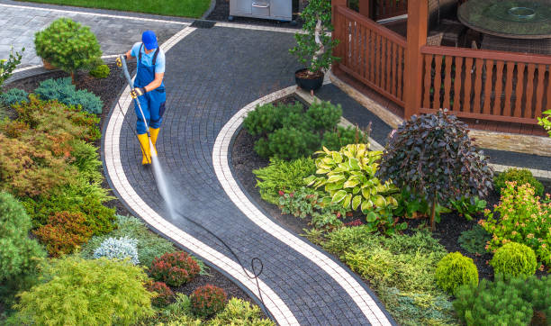 Best Pressure Washing Patio  in Lady Lake, FL