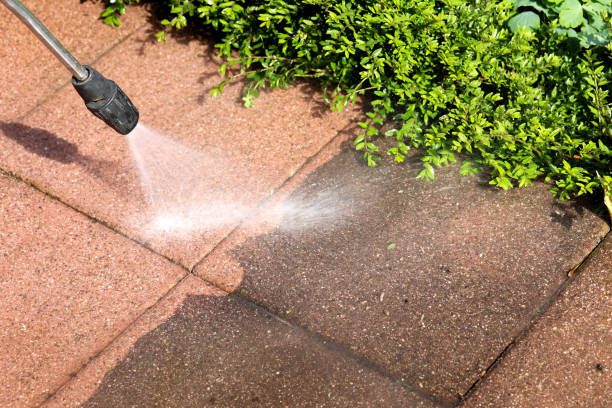 Best Roof Pressure Washing  in Lady Lake, FL